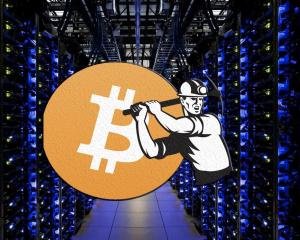 A well-organized mining farm with rows of mining rigs.